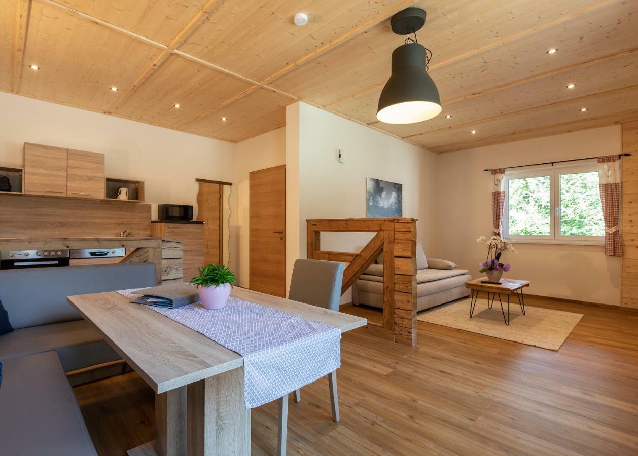 Schladminger Tauern Apartment Haus im Ennstal Luaran gambar